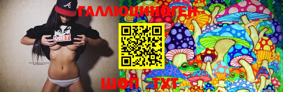 Галлюциногенные грибы MAGIC MUSHROOMS  Вход с VPN  Алапаевск 