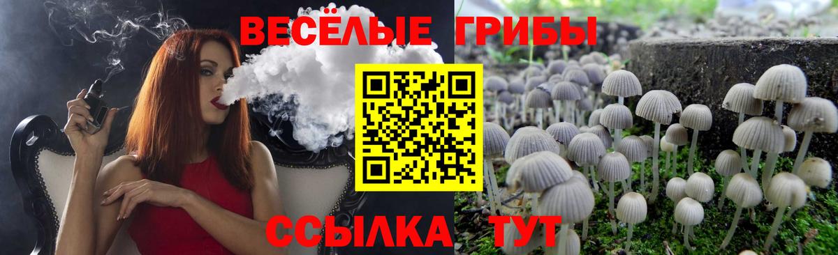 Галлюциногенные грибы мухоморы Алапаевск